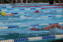 2026 09 12 11 08 09 LH   Schwimmen