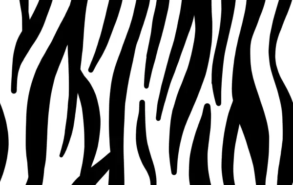 seamless zebra pattern